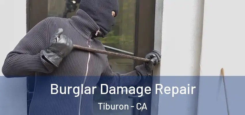  Burglar Damage Repair Tiburon - CA