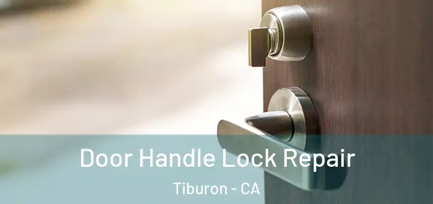  Door Handle Lock Repair Tiburon - CA