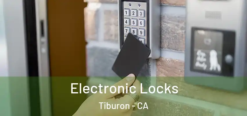  Electronic Locks Tiburon - CA