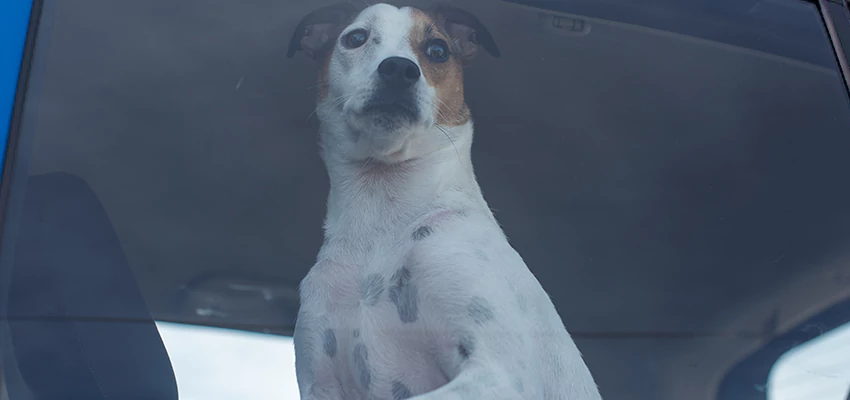 Car Lockout Solutions in Tiburon, California