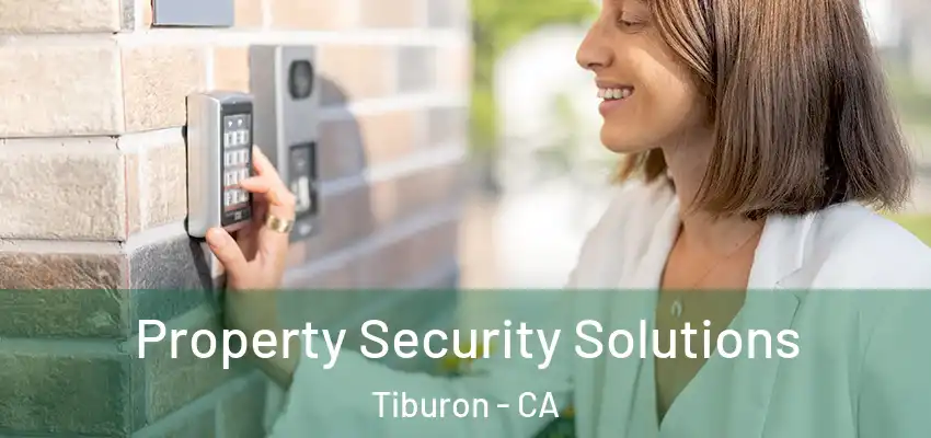 Property Security Solutions Tiburon - CA